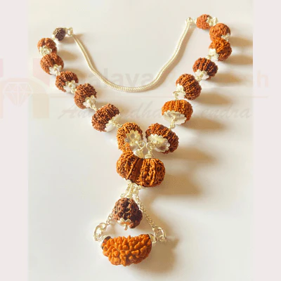 1-15 Mukhi Indra Rudraksha Mala (Nepal Origin- Collector Beads) - Image 2