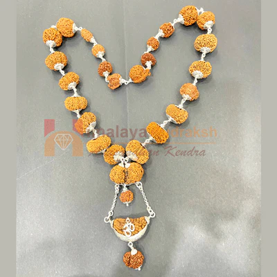 1-17 Mukhi Sarva Sampurna Rudraksha Mala (Nepal Origin- Collector Beads)