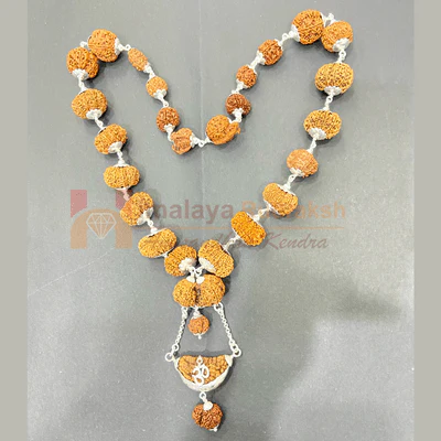 1-17 Mukhi Sarva Sampurna Rudraksha Mala (Nepal Origin- Collector Beads) - Image 2