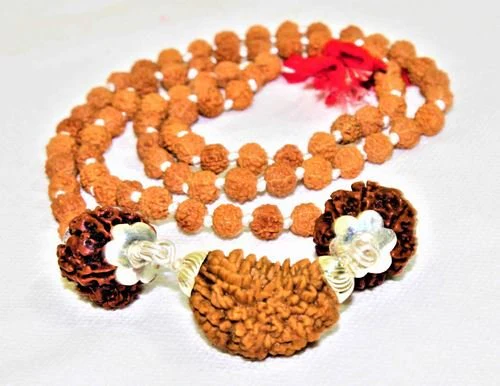 1 Mukhi Rudraksha Kawach - Image 2