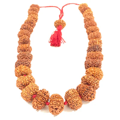 11 Mukhi Rudraksha Kantha - Nepal Origin (32+1 Beads)