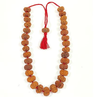 11 Mukhi Rudraksha Kantha - Nepal Origin (32+1 Beads) - Image 2