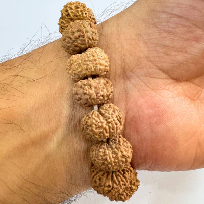 11 Mukhi Rudraksha Bracelet - Image 3