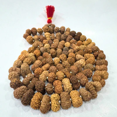 14 Mukhi Rudraksha Mala (Indonesian Origin- 108+1 beads) - Image 3