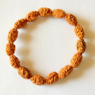 2 Mukhi Rudraksha Bracelet - Image 2