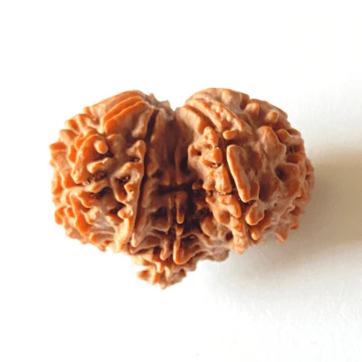 Antique Gauri Ganesh Shankar Rudraksha (Nepali Origin)