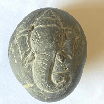Ganesha Shaligram (285 gm)