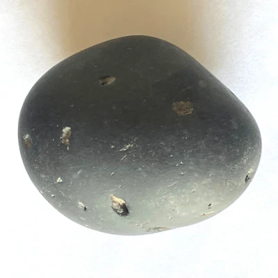 Ganesha Shaligram (285 gm) - Image 2