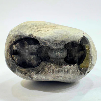 Divy Lakshmi Narsima Shaligram