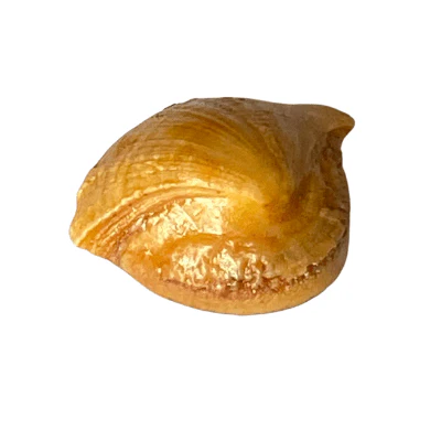 Machmani - 10.75 carat - Image 3