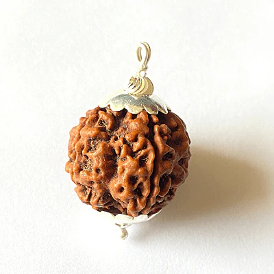 Natural 6 Mukhi Rudraksha (Nepal Origin- Collector Size)