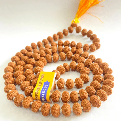 Natural 9 Mukhi Rudraksha Mala (108 +1 Beads) - Indonesian - Image 3