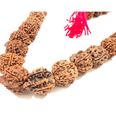 Natural Ganesh Rudraksha Kantha - Image 2