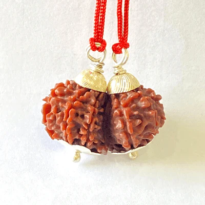Natural Gaurishankar Rudraksha (Nepal Origin - Collector Size) - Image 2