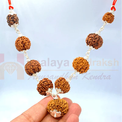 Navgrah Rudraksha Kawach - Image 2