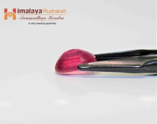 Ruby (Manik) - 15.90 cts - Image 4