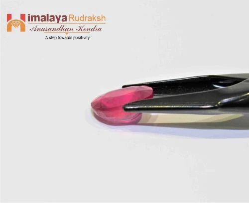 Ruby (Manik) - 8.15 cts - Image 2