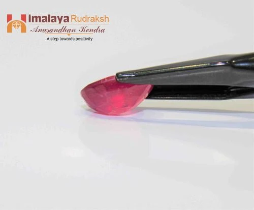 Ruby (Manik) - 8.15 cts - Image 3