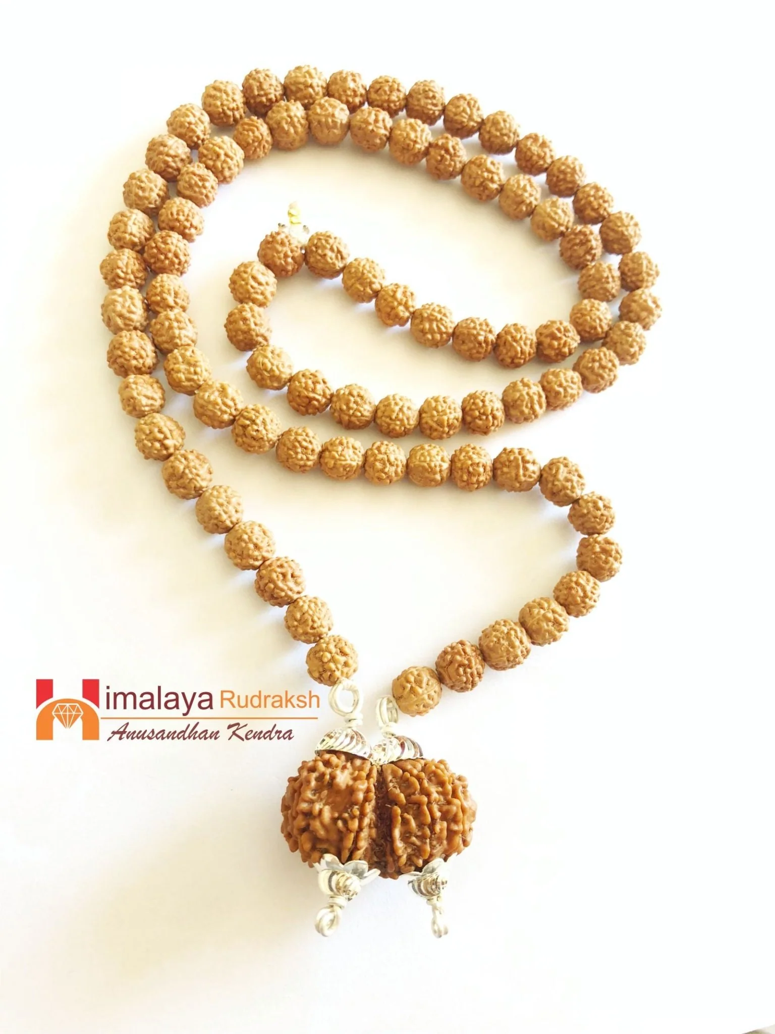 Divy Gaurishankar Rudraksha Mala